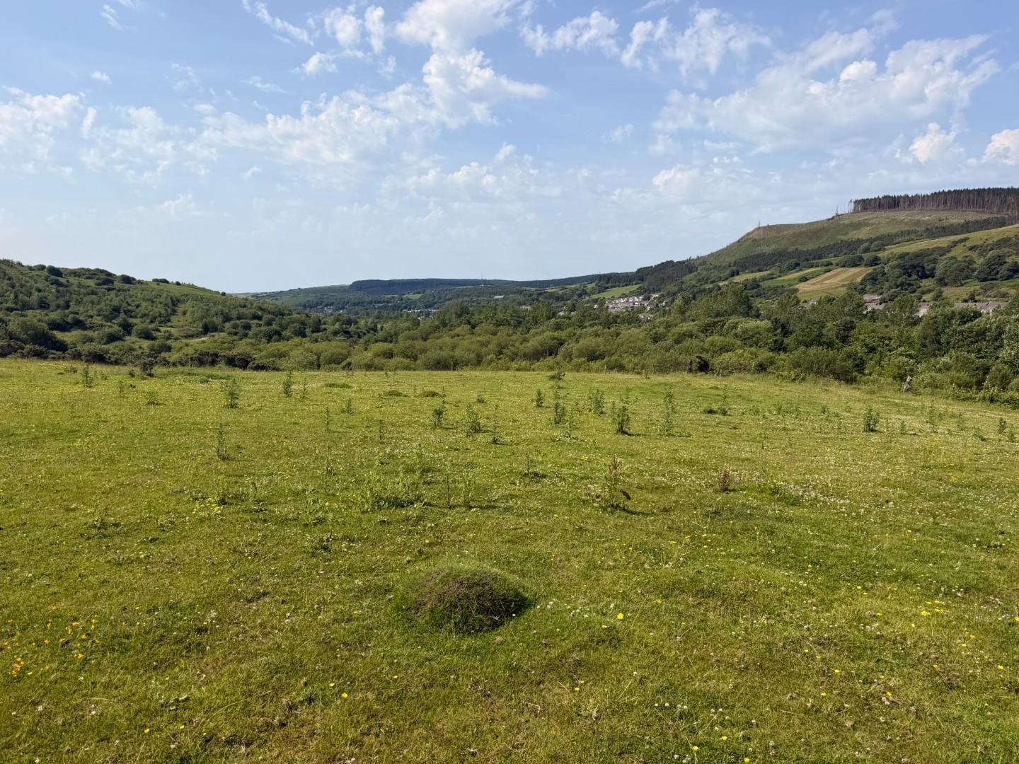 Approximately 6.5 acres of Agricultural Land at, Llynfi View Maesteg, Bridgend County Borough CF34 0RE